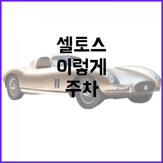 셀토스 주차 편하게 하려면 이렇게 보세요 - 요약