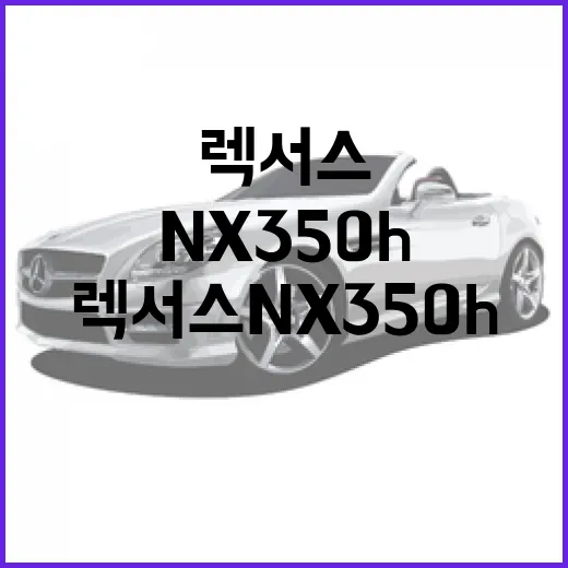 렉서스 nx350h 주차 편하게 하려면 이렇게 보면 됩니다 - 요약