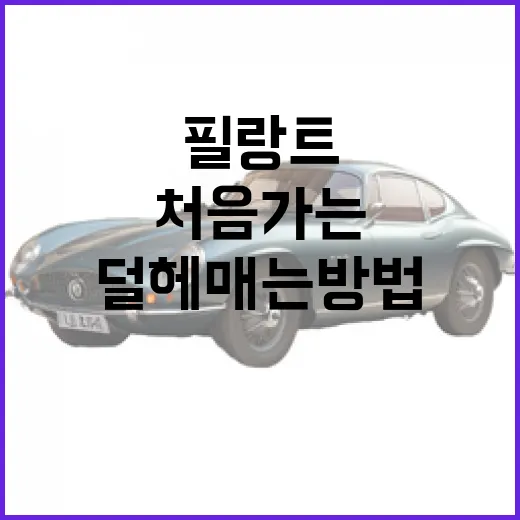 필랑트 처음 가는 운전자가 주차 덜 헤매는 방법 - 요약