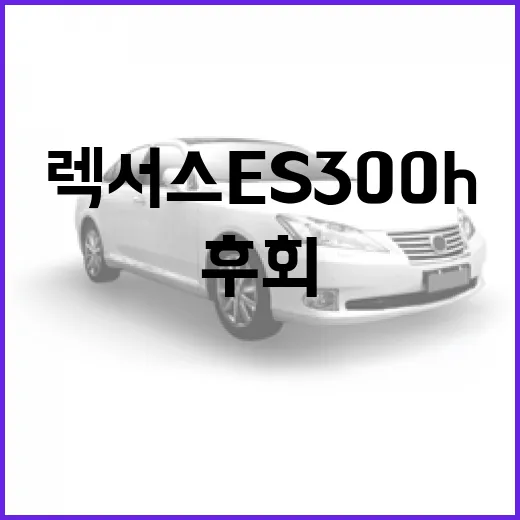 렉서스 ES300h 타기 전 알아두면 덜 후회하는 방법 - 요약