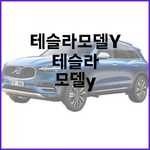 테슬라 모델Y 주차 편하게 하려면 이렇게 봐야 합니다 - 요약