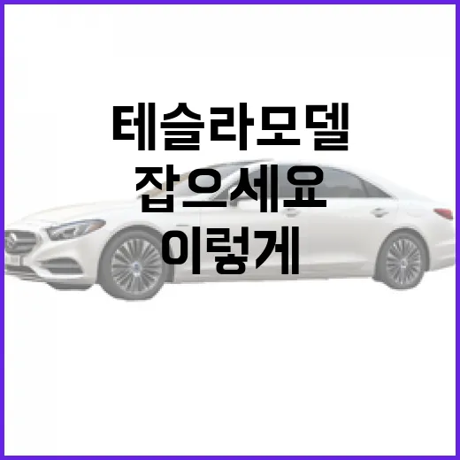 테슬라 모델3 주차 편하게 하려면 이렇게 잡으세요 - 요약