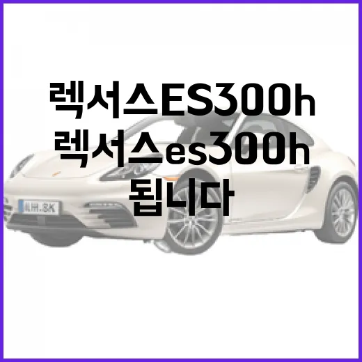 렉서스 ES300h 주차 편하게 하려면 이렇게 보면 됩니다 - 요약