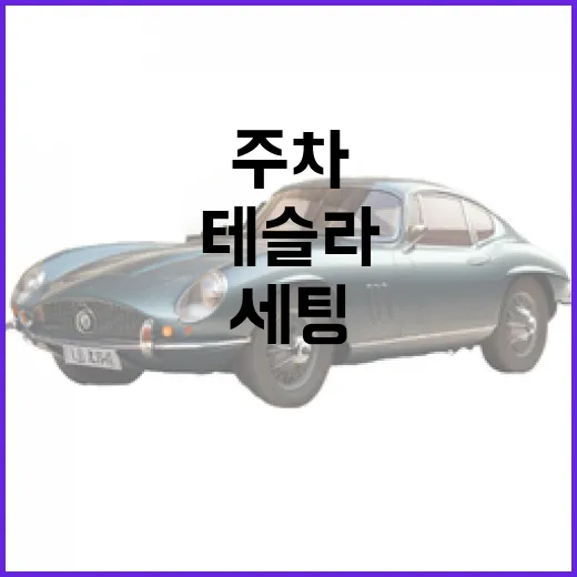 테슬라 주차 편하게 하려면 이렇게 세팅하세요 - 요약
