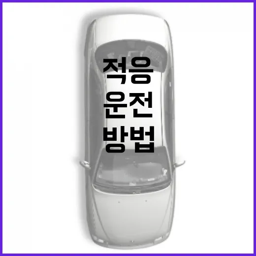 테슬라 주차와 운전이 처음이라면 이렇게 적응하는 방법 - 요약