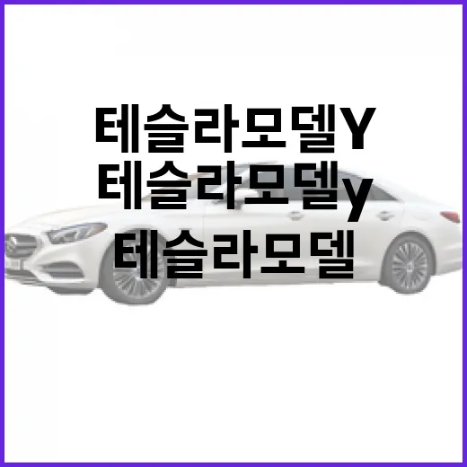 테슬라 모델Y 주차 편하게 하려면 이렇게 설정하고 움직이면 됩니다 - 요약