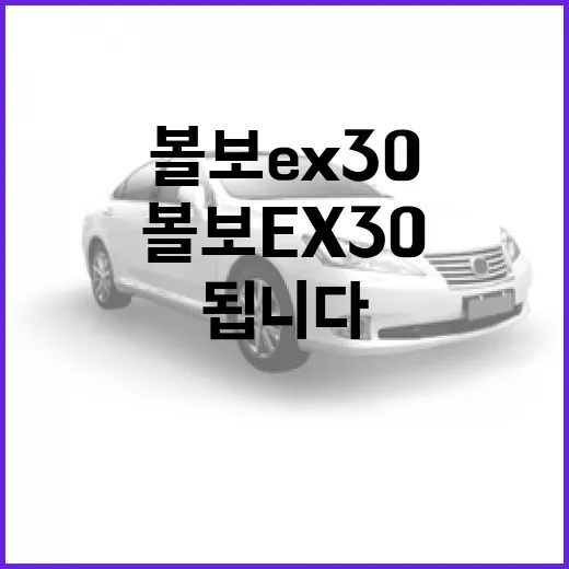 볼보 EX30 주차 편하게 하려면 이렇게 보면 됩니다 - 요약