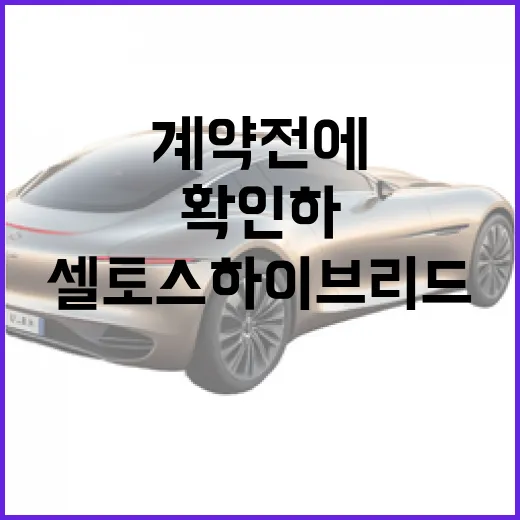 셀토스 하이브리드 기다리는 사람이 계약 전에 확인하는 방법 - 요약