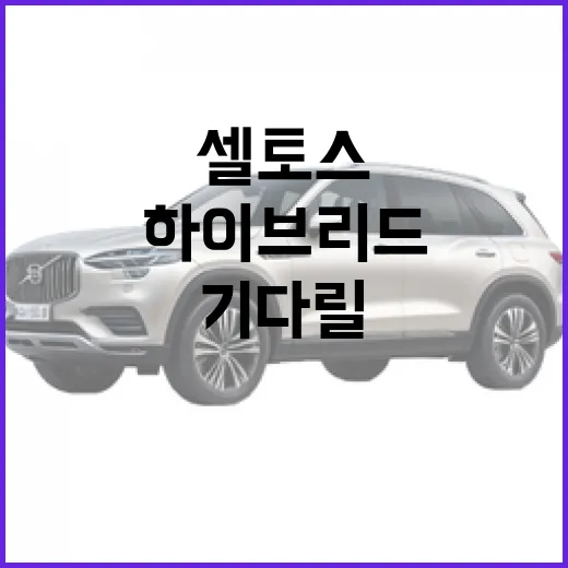 셀토스 하이브리드 기다릴 때 주차까지 보고 고르는 방법 - 요약