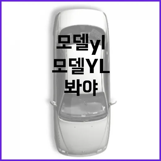 모델 YL 주차 쉽게 하려면 이렇게 봐야 합니다 - 요약