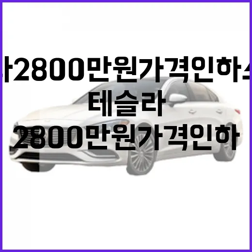 테슬라 2800만 원 가격 인하 소식에 흔들리지 않고 사는 방법 - 요약