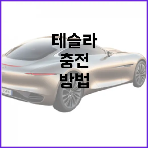 테슬라 주차 편하게 하려면 이렇게: 충전, 센트리, 좁은 주차장 실전 방법 - 요약