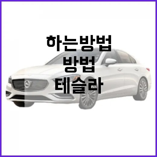 테슬라 주차 편하게 하는 방법, 처음 몰 때 헷갈리는 기능부터 과태료 실수까지 - 요약