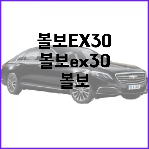 볼보 EX30 주차 걱정 줄이려면 이렇게 보면 됩니다 - 요약
