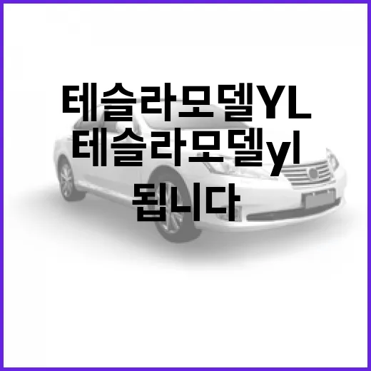 테슬라 모델 YL 주차 걱정 줄이려면 이렇게 보면 됩니다 - 요약