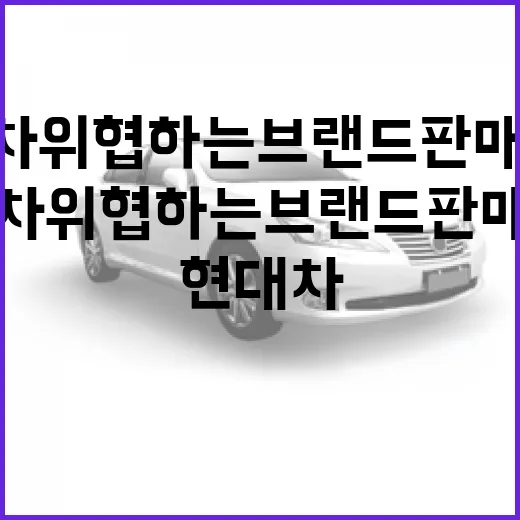 현대차 위협하는 브랜드 판매 급증, 차 바꿀 때 덜 후회하는 방법 - 요약
