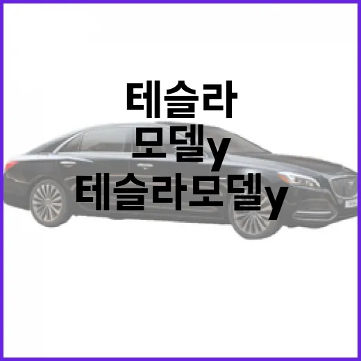 테슬라 모델Y 주차 편하게 하려면 이렇게 해두세요 - 요약