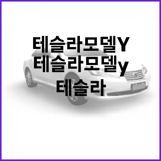 테슬라 모델Y 주차 편하게 하는 방법, 큰 차 처음 몰 때 이렇게 익숙해졌습니다 - 요약