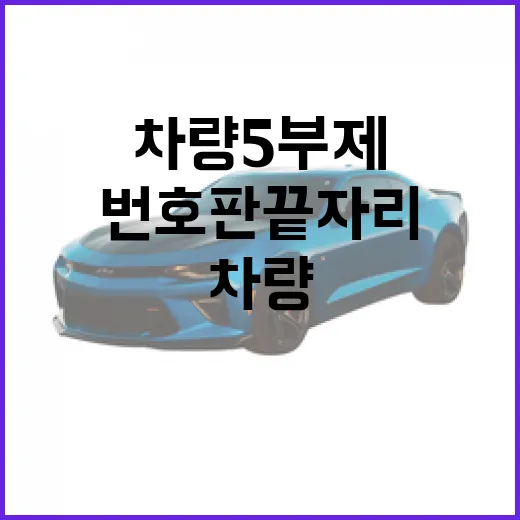 차량5부제 헷갈리지 않고 지키는 방법, 번호판 끝자리부터 확인하세요 - 요약
