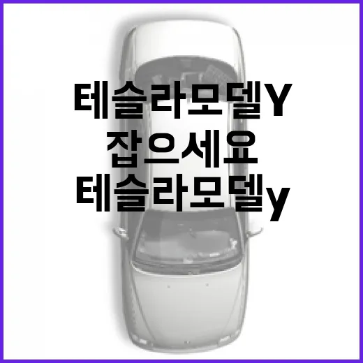 테슬라 모델Y 주차 편하게 하려면 이렇게 잡으세요 - 요약