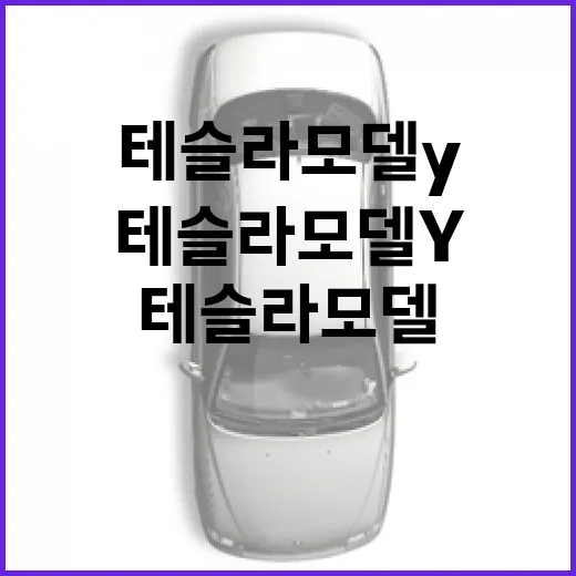 테슬라 모델Y 주차 편하게 하려면 이렇게 잡으면 됩니다 - 요약