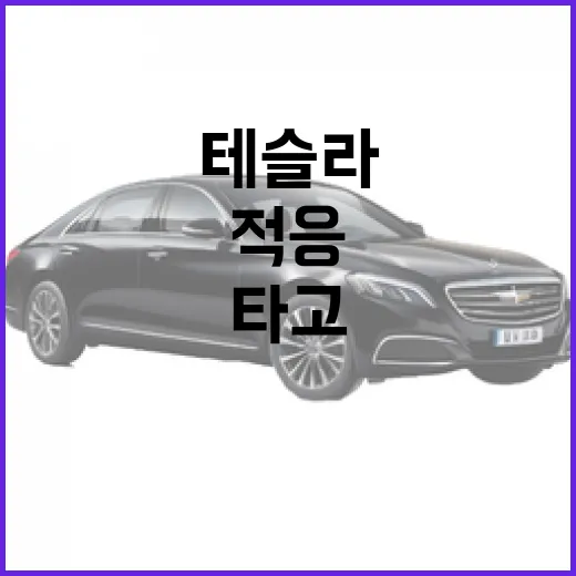 테슬라 처음 타고 주차장 들어가려면 이렇게 적응하면 편합니다 - 요약