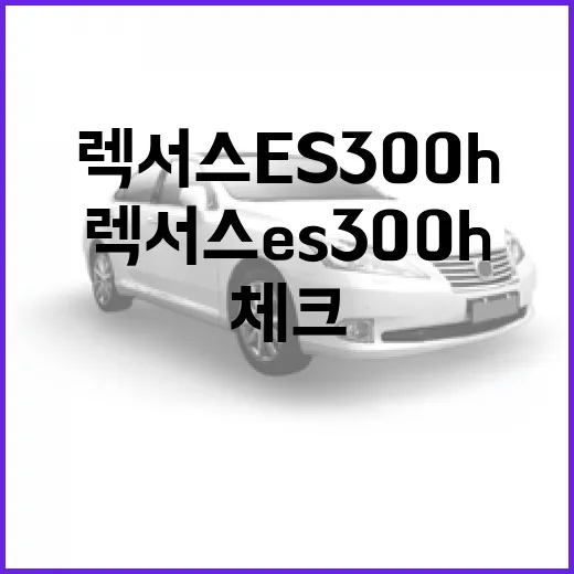 렉서스 ES300h 주차 편하게 하려면 이렇게 체크하면 됩니다 - 요약