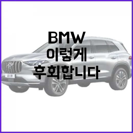 bmw 알피나 타려면 이렇게 봐야 덜 후회합니다 - 요약