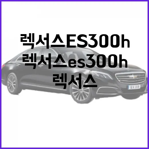 렉서스 es300h 주차 편하게 하려면 이렇게 익숙해지면 됩니다 - 요약