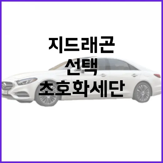 지드래곤 초호화 세단 선택처럼 큰 차를 타려면 이렇게 봐야 합니다 - 요약