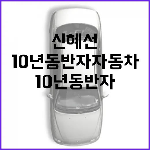 신혜선처럼 10년 동반자 자동차 오래 타려면 이렇게 관리합니다 - 요약