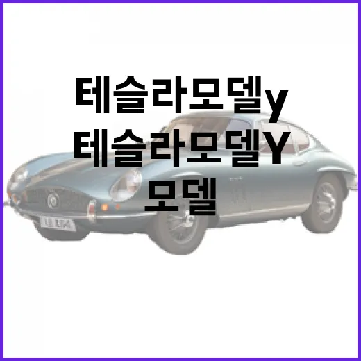 테슬라 모델Y 주차 편하게 하려면 이렇게 세팅하세요 - 요약