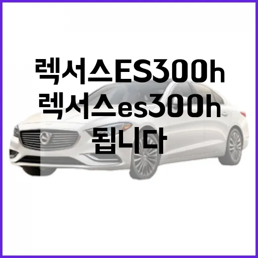 렉서스 ES300h 주차 편하게 하려면 이렇게 보면 됩니다 - 요약