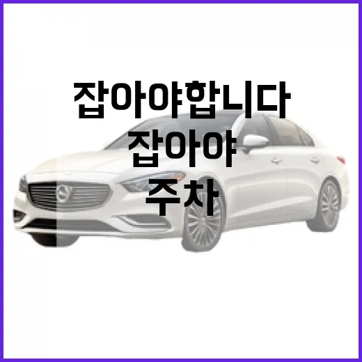 코란도 주차 편하게 하려면 이렇게 잡아야 합니다 - 요약
