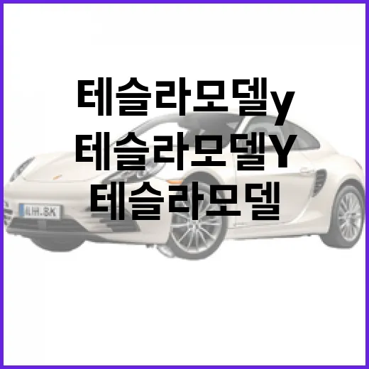 테슬라 모델Y 주차 편하게 하려면 이렇게 세팅하고 움직이면 됩니다 - 요약
