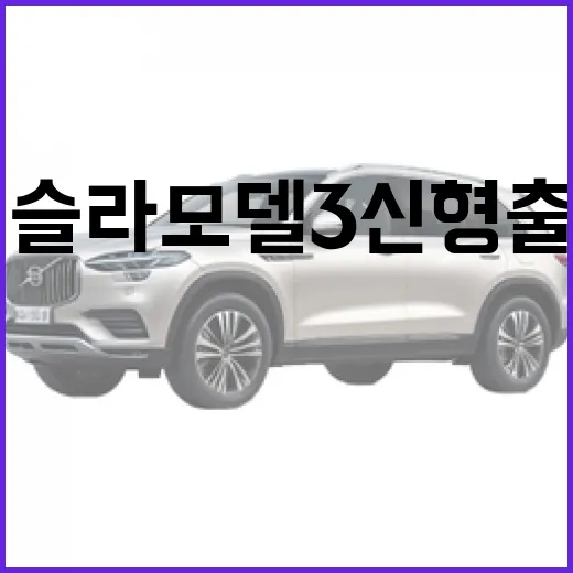 테슬라 모델3 신형 출시 후 사기 전에 확인하는 방법 - 요약