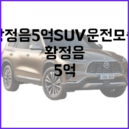 황정음 5억 SUV 운전 모습처럼 큰 차 몰 때 주차 편하게 하는 방법 - 요약