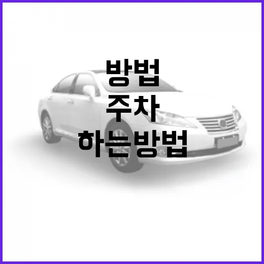 스포티지 주차 편하게 하는 방법, 차폭 감 잡고 과태료 피하려면 이렇게 - 요약