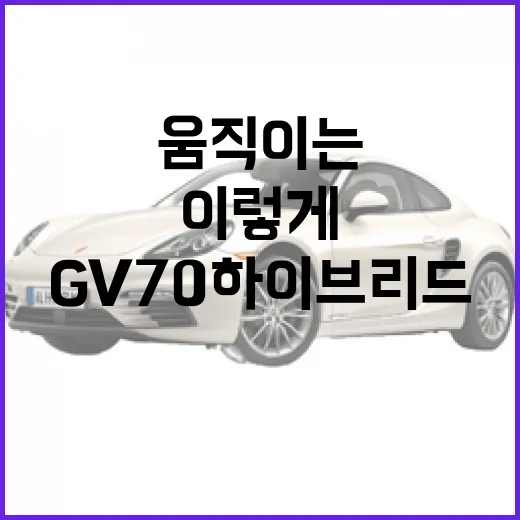 GV70 하이브리드 기다리려면 이렇게 확인하고 움직이는 방법 - 요약