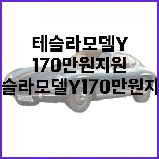 테슬라 모델 Y 170만 원 지원 받으려면 이렇게 확인하세요 - 요약