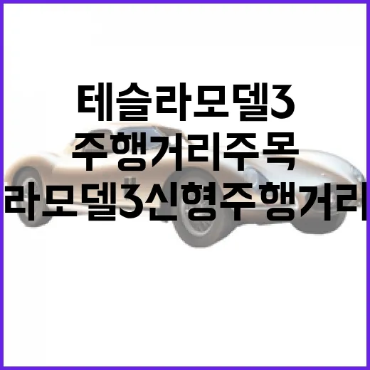테슬라 모델3 신형 주행거리 주목한다면 이렇게 고르면 덜 후회합니다 - 요약