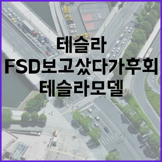 테슬라 모델 FSD 보고 샀다가 후회 줄이는 방법 - 요약