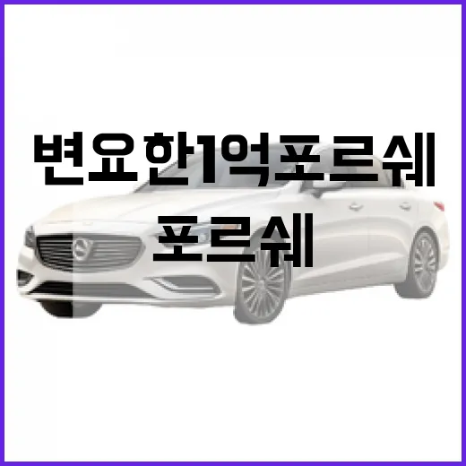 변요한 1억 포르쉐 눈길 끈 차, 주차장에서 덜 긁히게 타려면 이렇게 - 요약