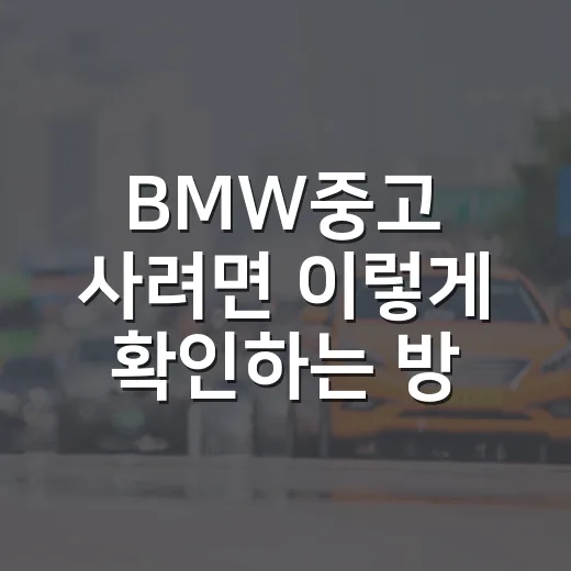 BMW중고 사려면 이렇게 확인하는 방법 - 요약