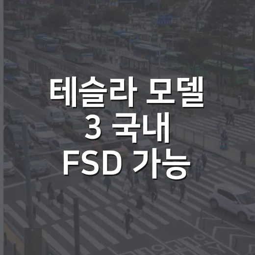 테슬라 모델 3 국내 FSD 가능 여부 확인하는 방법, 한국에서 바로 쓰려면 이렇게 보세요 - 요약