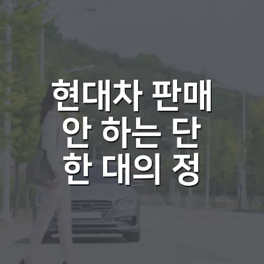 현대차 판매 안 하는 단 한 대의 정체 확인하는 방법 - 요약
