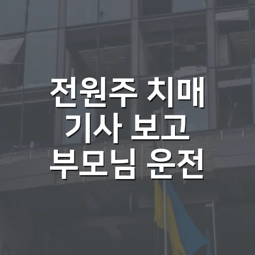 전원주 치매 기사 보고 부모님 운전 점검하려면 이렇게 하세요 - 요약