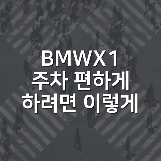 BMWX1 주차 편하게 하려면 이렇게 잡으면 됩니다 - 요약
