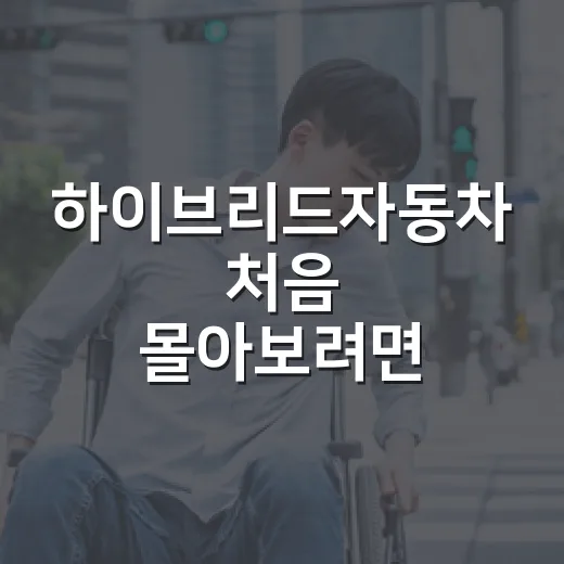 하이브리드자동차 처음 몰아보려면 이렇게 운전하고 관리하면 됩니다 - 요약