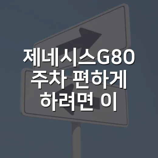 제네시스G80 주차 편하게 하려면 이렇게 잡으면 덜 긁힙니다 - 요약